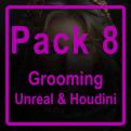 PACK DUO 8 : UNREAL |  HOUDINI (GROOMING)